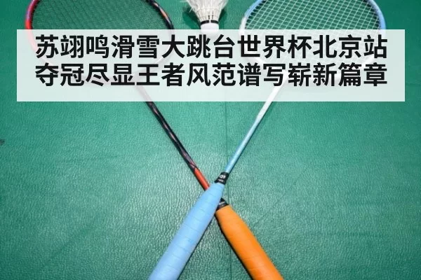 苏翊鸣滑雪大跳台世界杯北京站夺冠尽显王者风范谱写崭新篇章